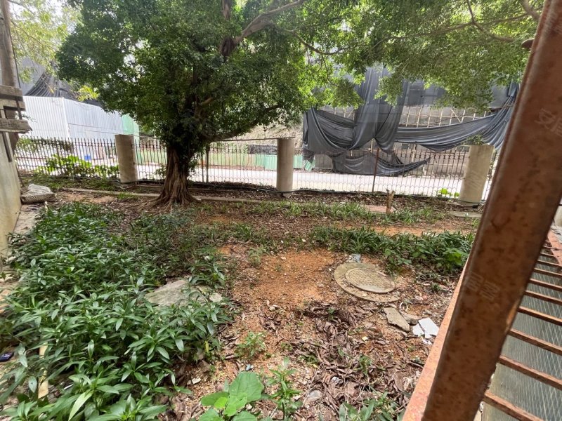 金湾花园2室1厅1卫带花园