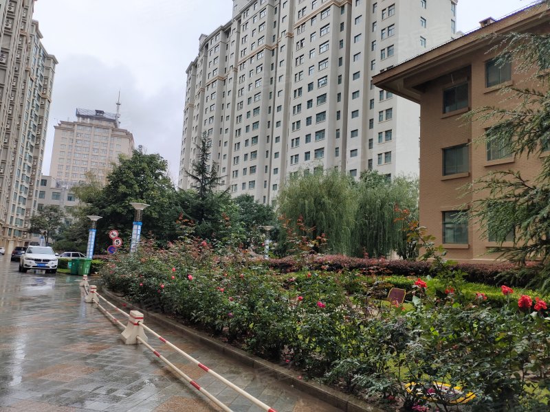 世纪花园a区(崆峒区),柳湖路西段-平凉世纪花园a区(崆峒区)二手房