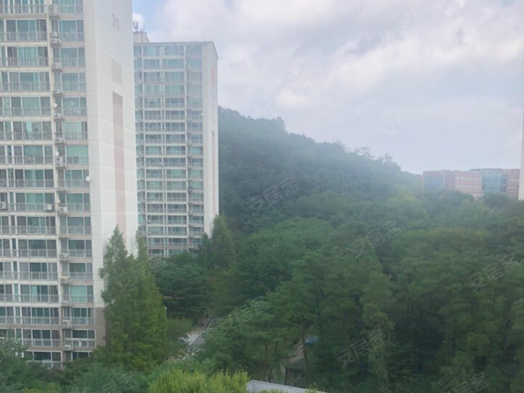 韩国约¥728万韩国首都圈京畿道宜居大公寓二手房公寓图片