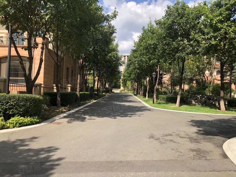 伟峰领袖领地,银杏路-长春伟峰领袖领地二手房,租房,房价-长春安居客