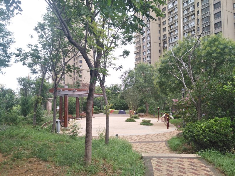 鲁能领秀城中央公园19区