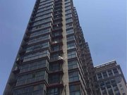 紫府铭居 精装好房 中间楼层 朝南 出行方便 停车方便