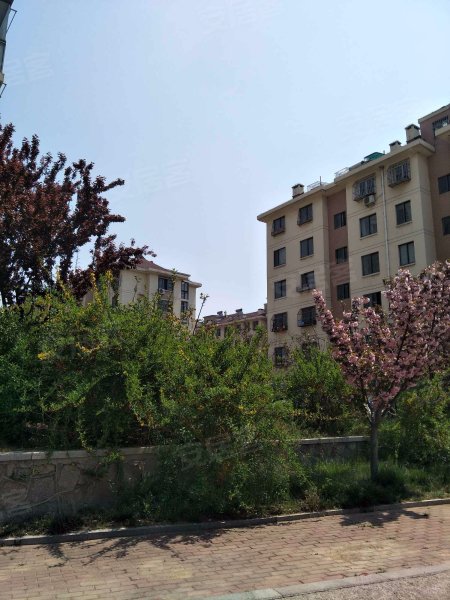 瑞康花园,浮山路61号-青岛瑞康花园二手房,租房,房价-青岛安居客