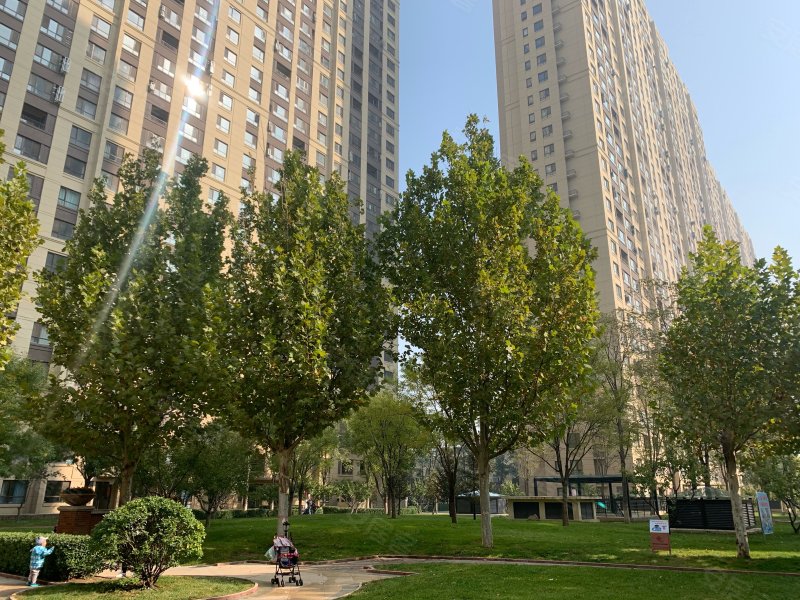 廊坊孔雀城大学里(商住楼)