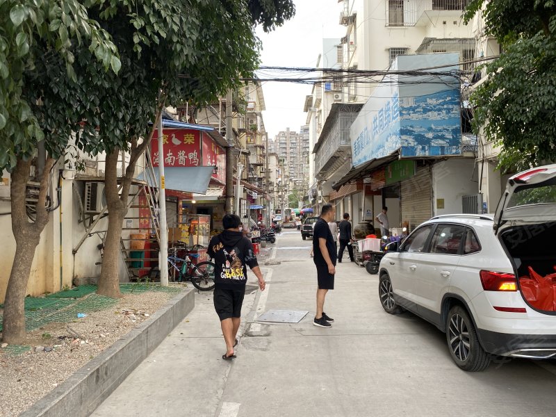石亭小区,石亭路1-174号-厦门石亭小区二手房,租房,房价-厦门安居客