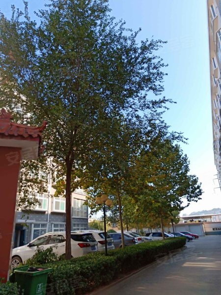 联谊花园,上海街-中山联谊花园二手房,租房,房价-中山安居客