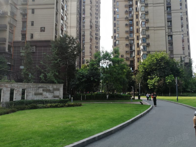 鲁能山水原著溢香谷
