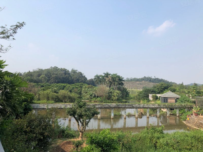 山湖雅苑(别墅),木朗大道128号-江门山湖雅苑(别墅)二手房,租房,房价