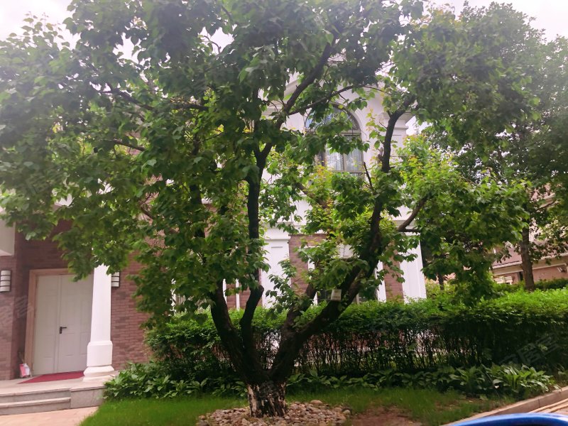 森林华墅,柳莺东路885号-长春森林华墅二手房,租房,房价-长春安居客