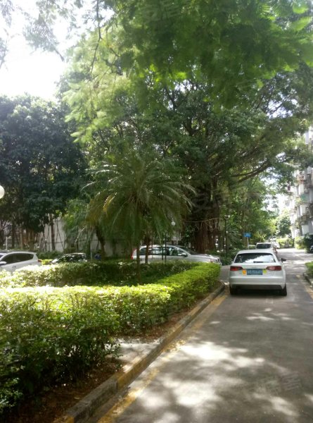 香荔花园(一期)