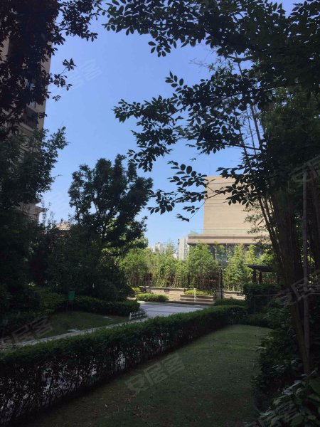 中金海棠湾(一期公寓) 