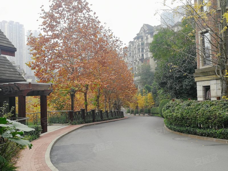 中渝梧桐郡(b区),兴盛支路6号-重庆中渝梧桐郡(b区)二手房,租房,房价