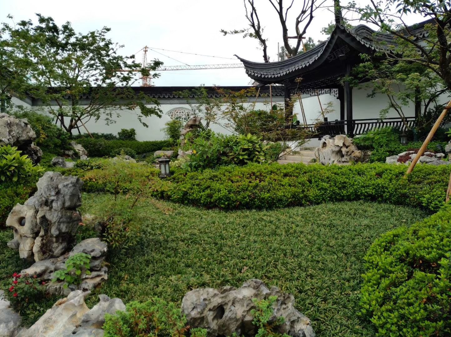 中式合院,开发商直降70万,带170平花园,仅一套,枫林半岛(别墅)二手房