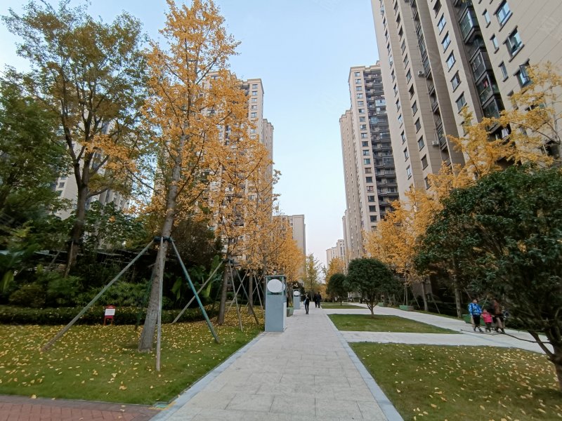 金科空港城(二期)
