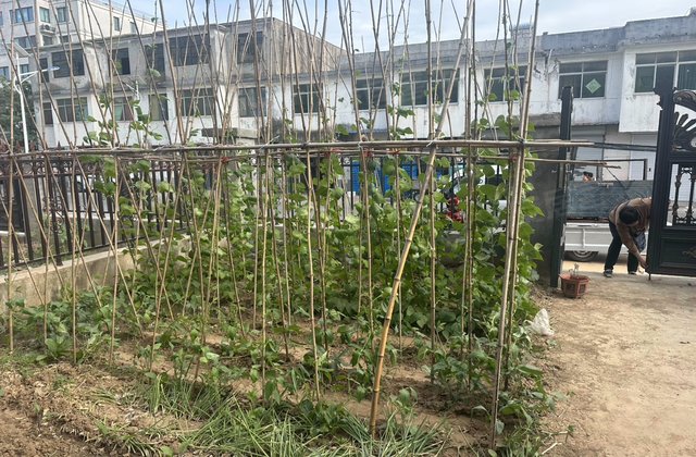 龙圣花苑6室4厅181.35㎡69.8万二手房图片