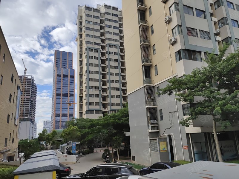 高林居住区一里,高林一里8-56号-厦门高林居住区一里二手房,租房,房价