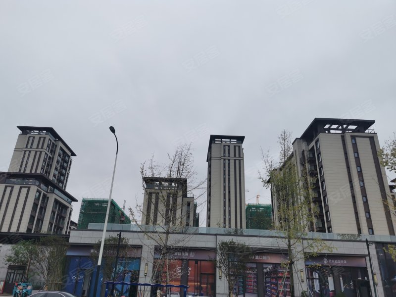 电建地产洺悦御府