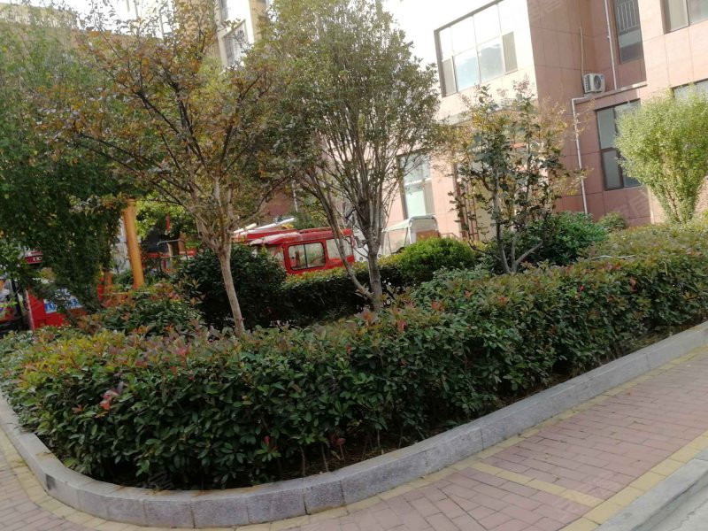 香樟园医院公寓,西外环路-临沂香樟园医院公寓二手房,租房,房价-临沂