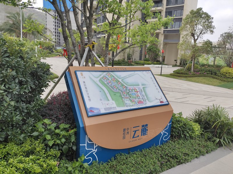碧桂园中洲云麓花园