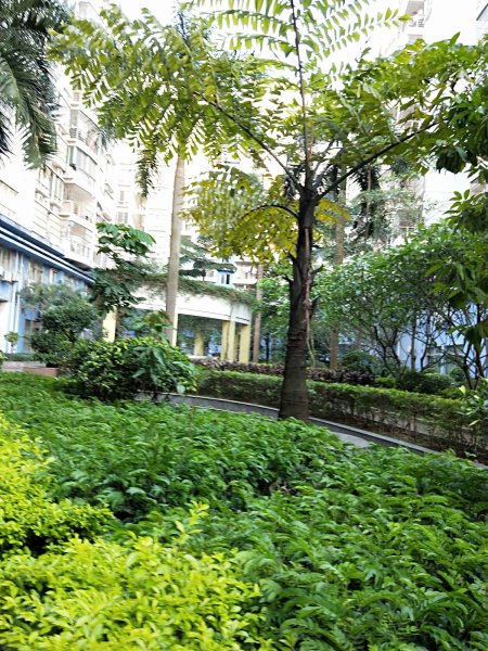 嘉州华都,大学东路27号-南宁嘉州华都二手房,租房,房价-南宁安居客