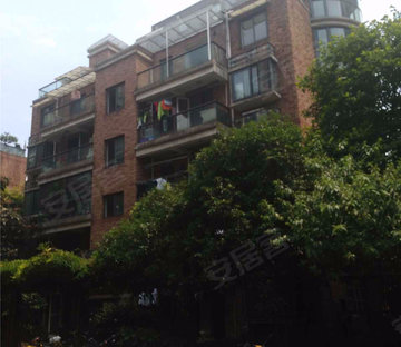 凯旋/采荷小区图片