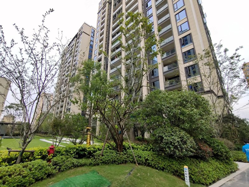 祥生湛景观棠府