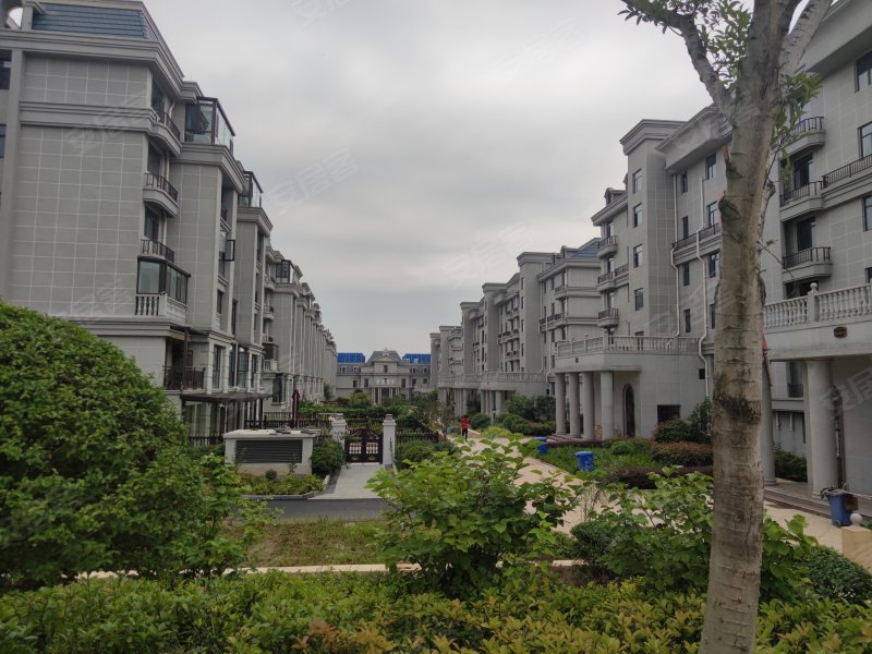 润扬首府,武夷山路,近浦东路-枣庄润扬首府二手房,租房,房价-枣庄安居