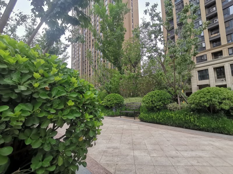 龙湖御景(别墅),双湖大道-郑州龙湖御景(别墅)二手房,租房,房价-郑州