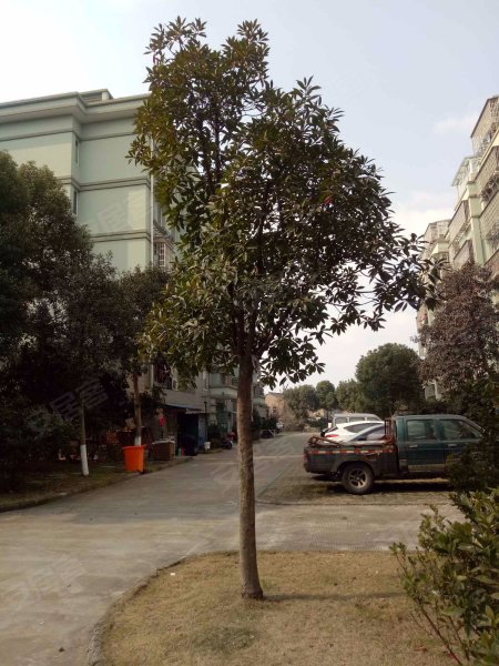 布政新村(西区)