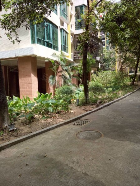 南厦丰泽园(南区)