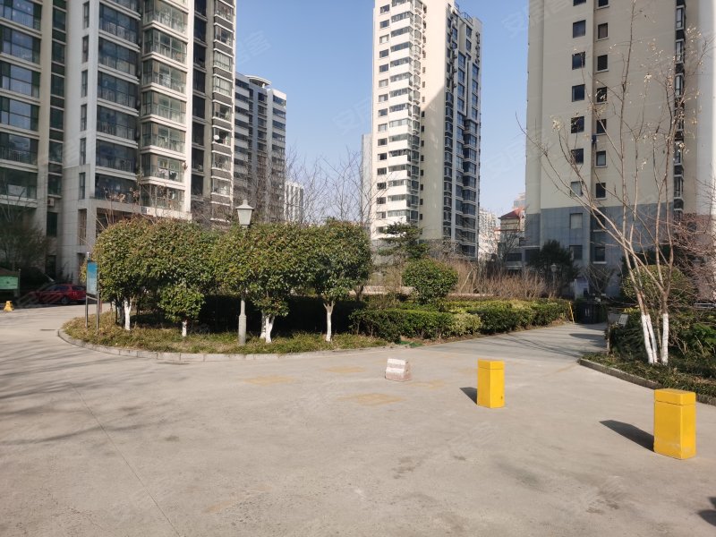 银领国际,珠江路1389号-青岛银领国际二手房,租房,房价-青岛安居客