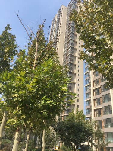 津西东湖湾(公寓住宅),长城北路,近北环路 - 唐山津西东湖湾(公寓住宅