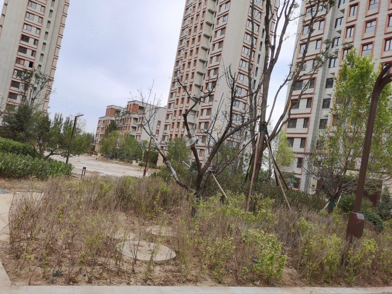 新水湾龙园,文瀛南路-大同新水湾龙园二手房,租房,房价-大同安居客