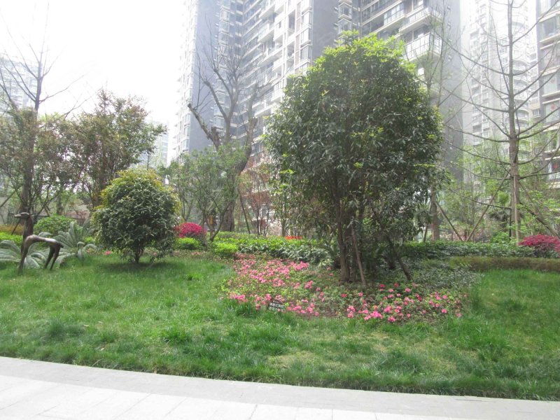 红树湾,中和大道二段69号,府兴路51号-成都红树湾二手房,租房,房价