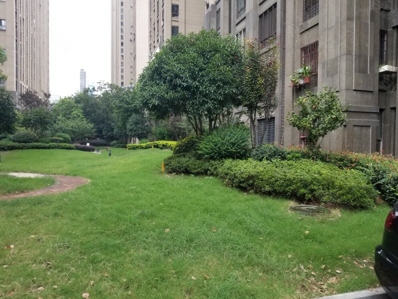 旭辉花园,天鹅湖路121号-合肥旭辉花园二手房,租房,房价-合肥安居客