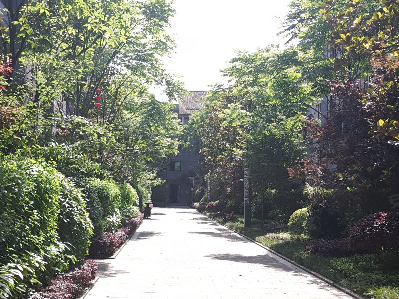 中国水电青云阶