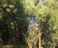 凯佳公寓(西区)