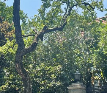 安亭路132号小区