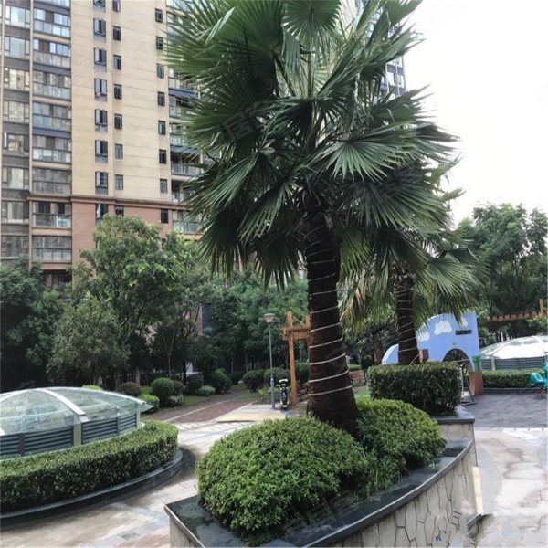 东方花都f区,兴业路165号-武汉东方花都f区二手房,租房,房价-武汉安居