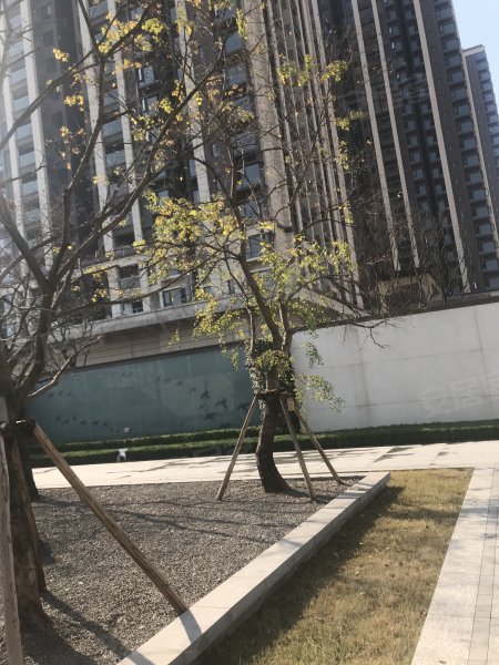 金科联发东悦府