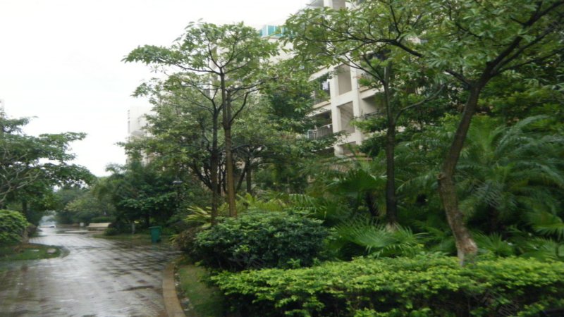 星洲花园,乐怡路1号-中山星洲花园二手房,租房,房价-中山安居客