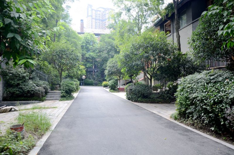 华侨城东岸西区(别墅),金丰路283号-成都华侨城东岸西区(别墅)二手房