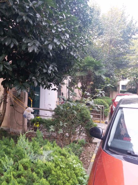 巨野路109弄小区 