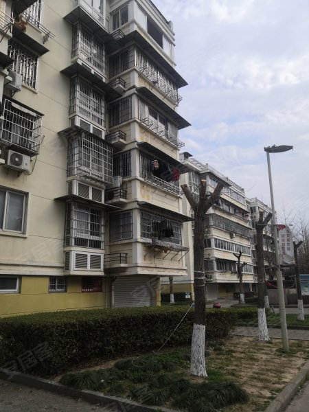 洞桥明苑(西区),潘沙南路217号-宁波洞桥明苑(西区)二手房,租房,房价