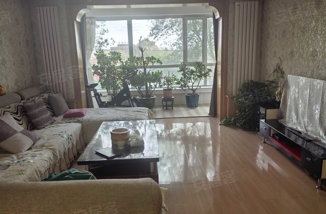 共和县金安小区3室2厅129㎡62万二手房图片