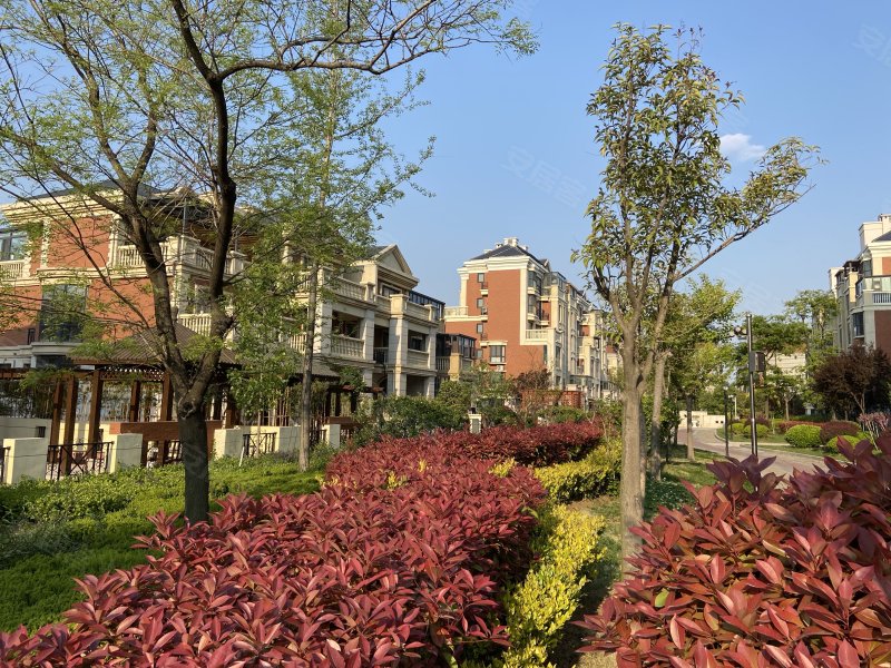 奥德紫荆城,北京东路,近孝友路-临沂奥德紫荆城二手房,租房,房价-临沂