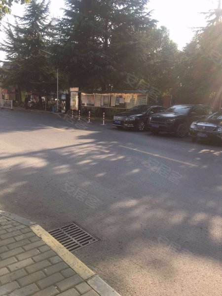 大上海国际花园伊甸园 