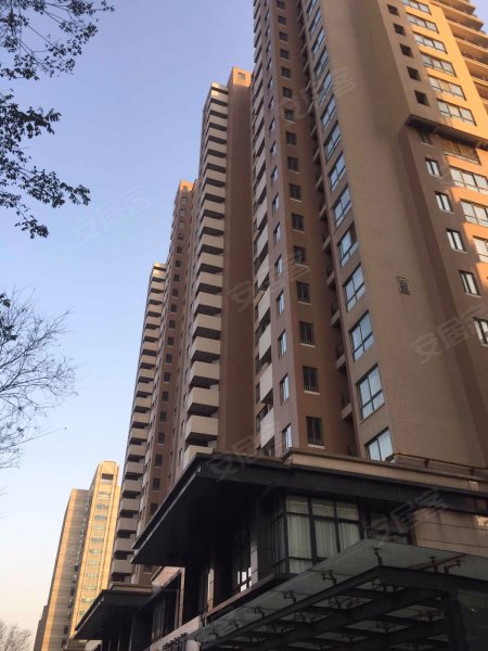 天地源枫林意树