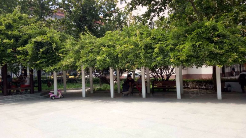 红松园北里2号院