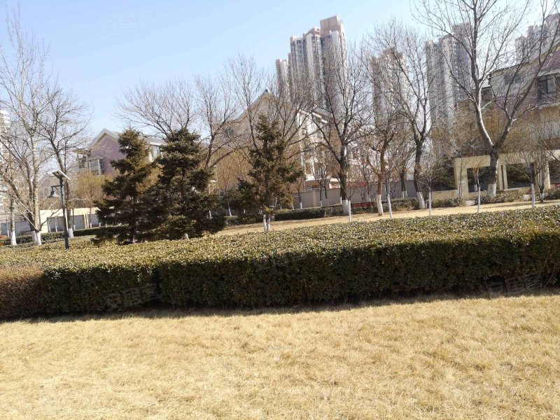 明珠花园(滨海),福建路80号-天津明珠花园(滨海)二手房,租房,房价